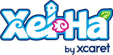 tulum-ruins-and-xel-ha-lds-tour